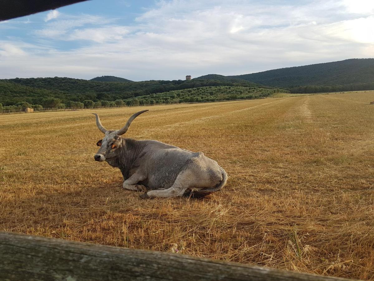 Tenuta Agricola Dell'Uccellina Talamone Zewnętrze zdjęcie